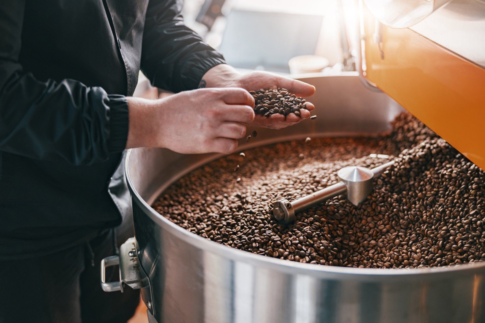 Coffee Bean Guide