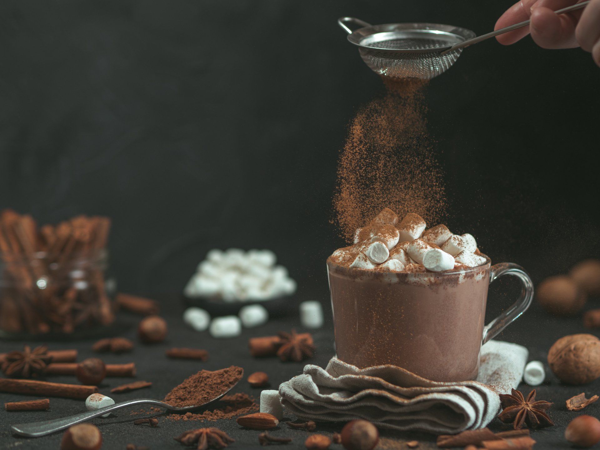 mocha powder/hot cocoa