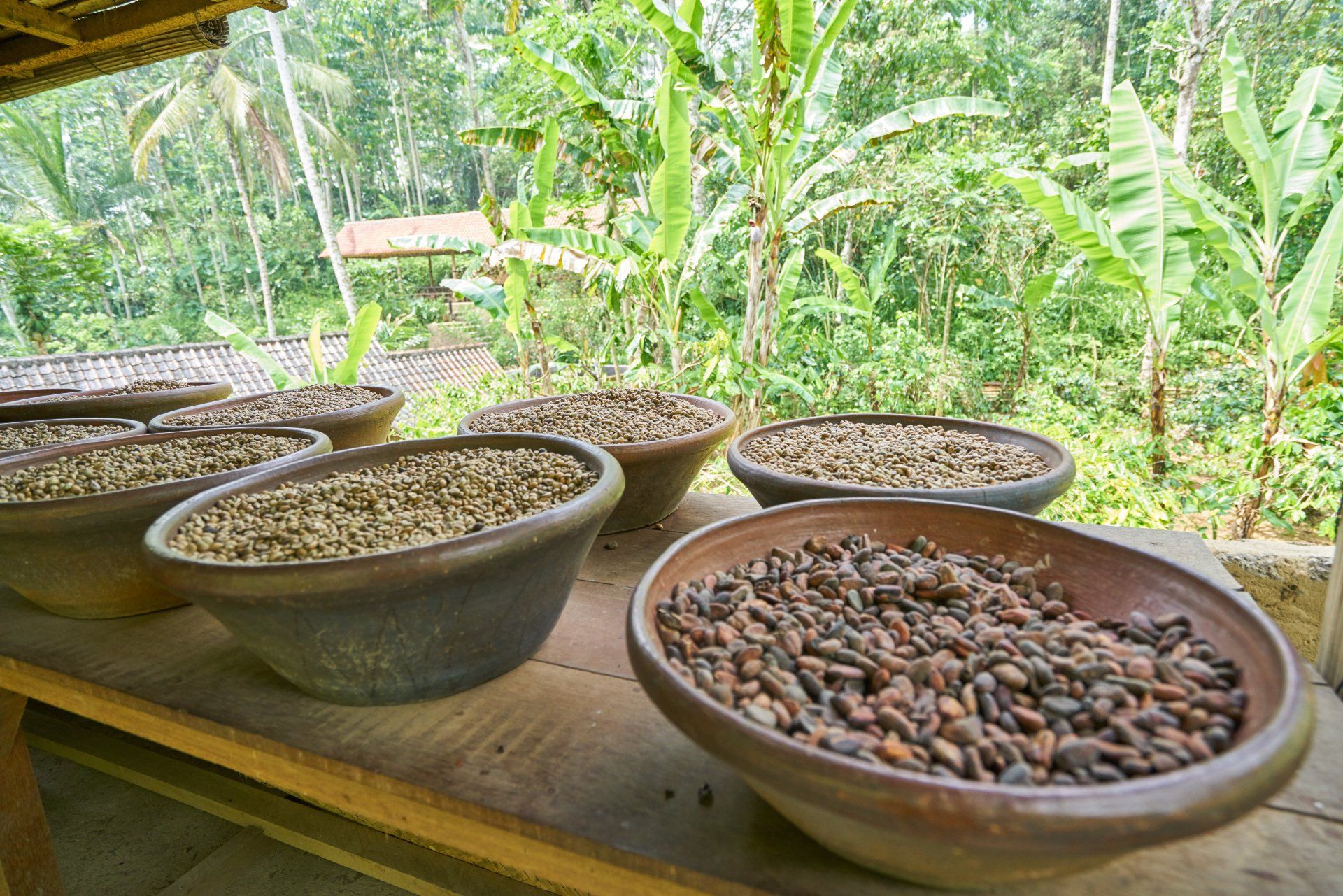 Indonesian