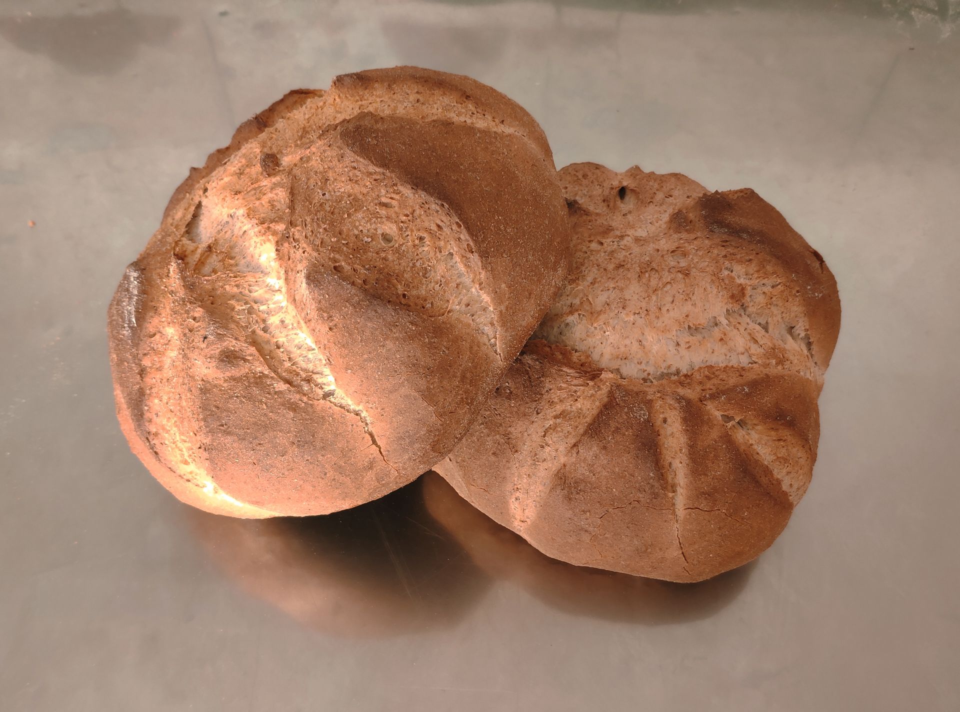 Panini integrali