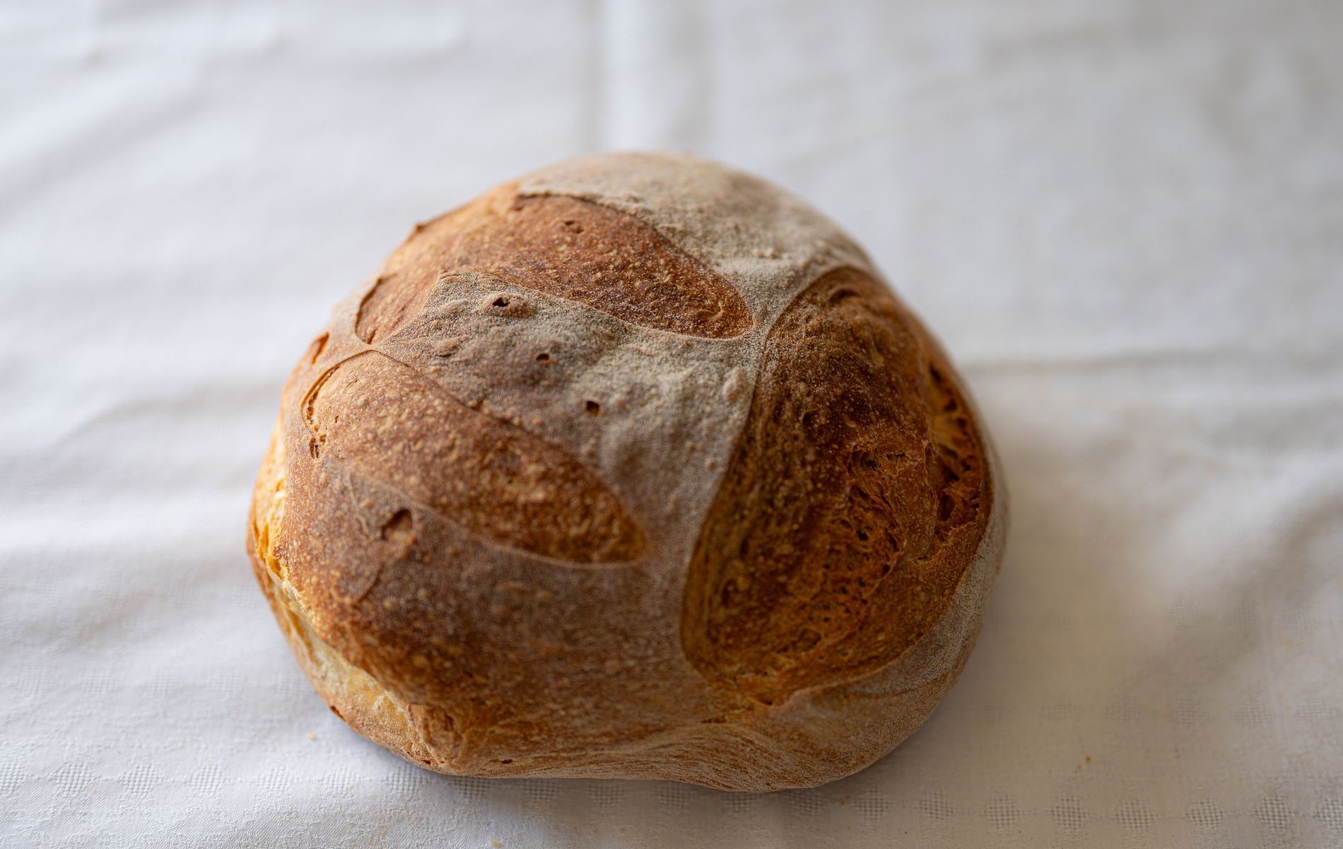 Pane di grano tenero