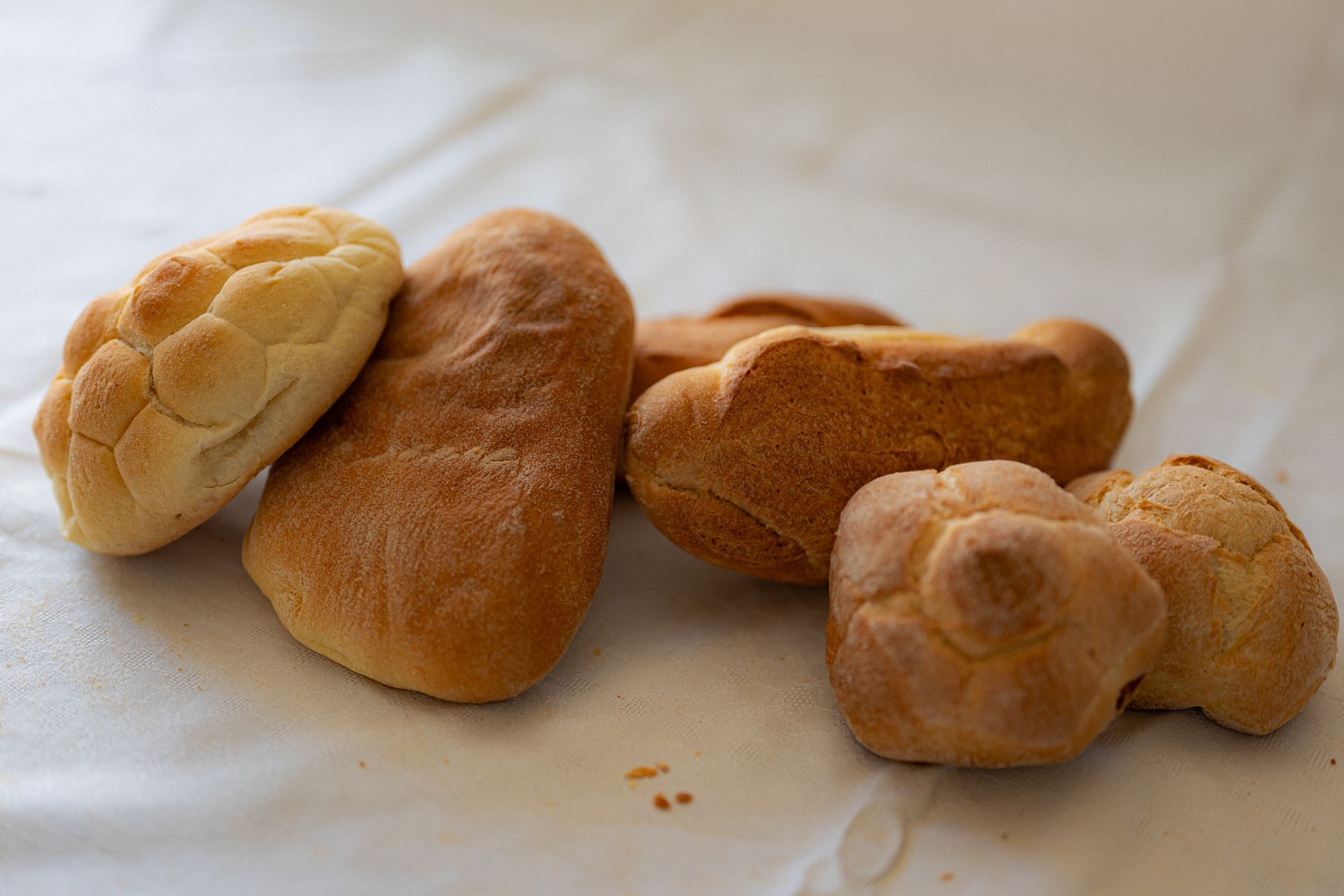 Panini di semola