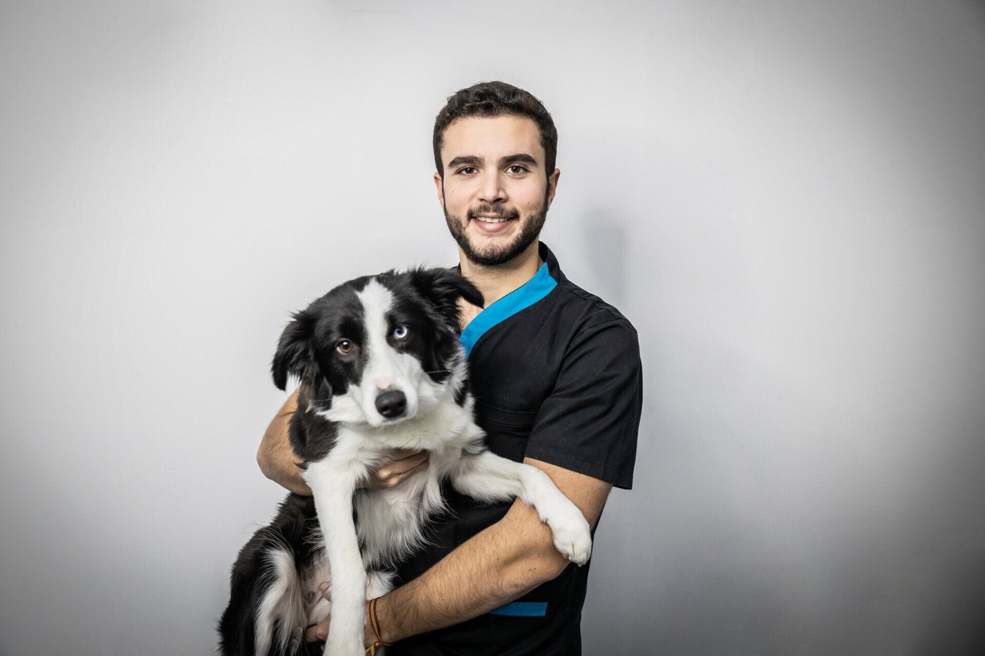 Male Vet Cuddling Border Collie In Arms Dog — Greenwood, SC — Greenwood Veterinary Hospital Male Vet Cuddling Border Collie In Arms Dog — Greenwood, SC — Greenwood Veterinary Hospital