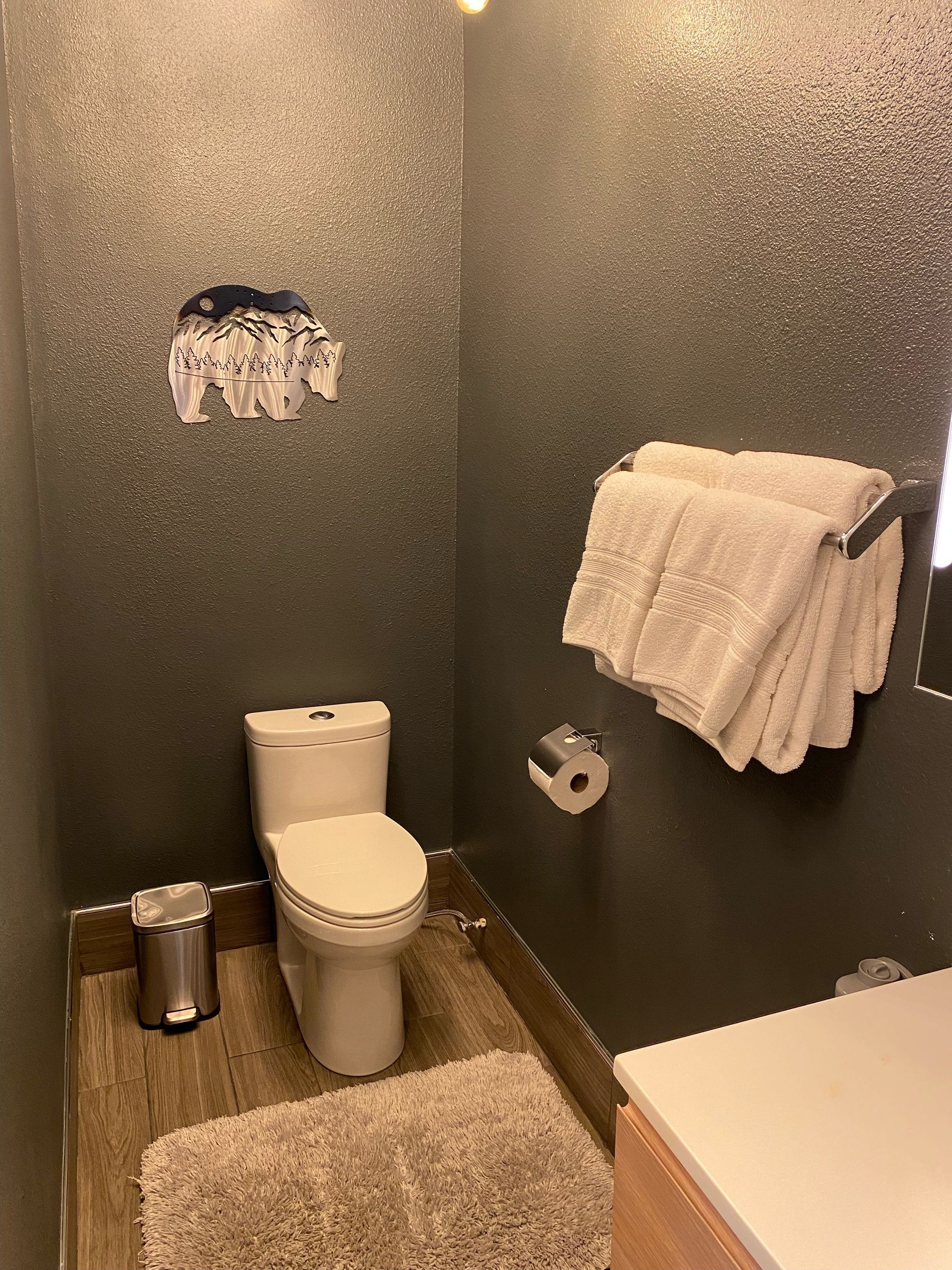 A bathroom with a toilet , sink , and towel rack.