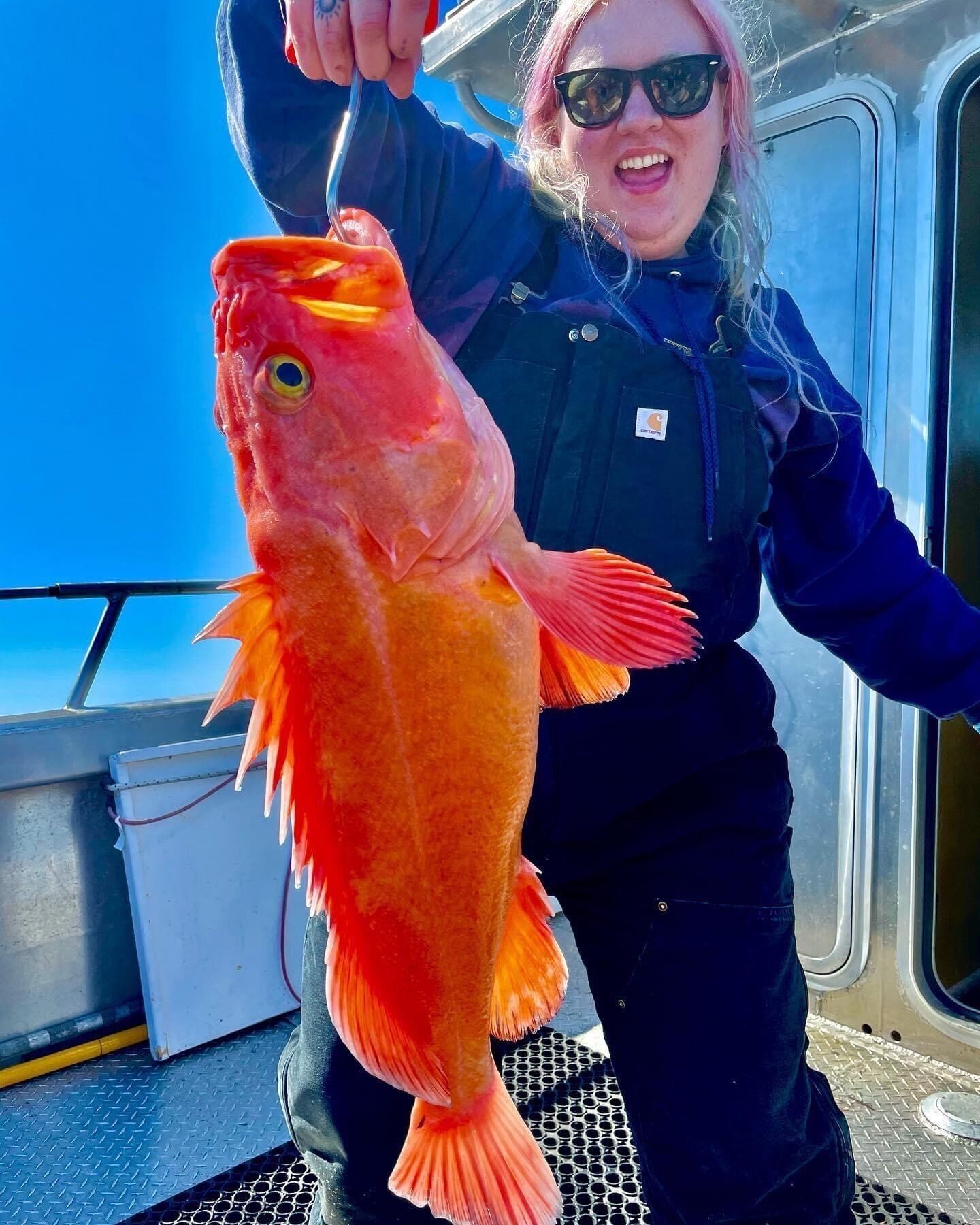 Blue Ice Charter - Fishing - Things to Do - Bell in the Woods B&B Seward, AK