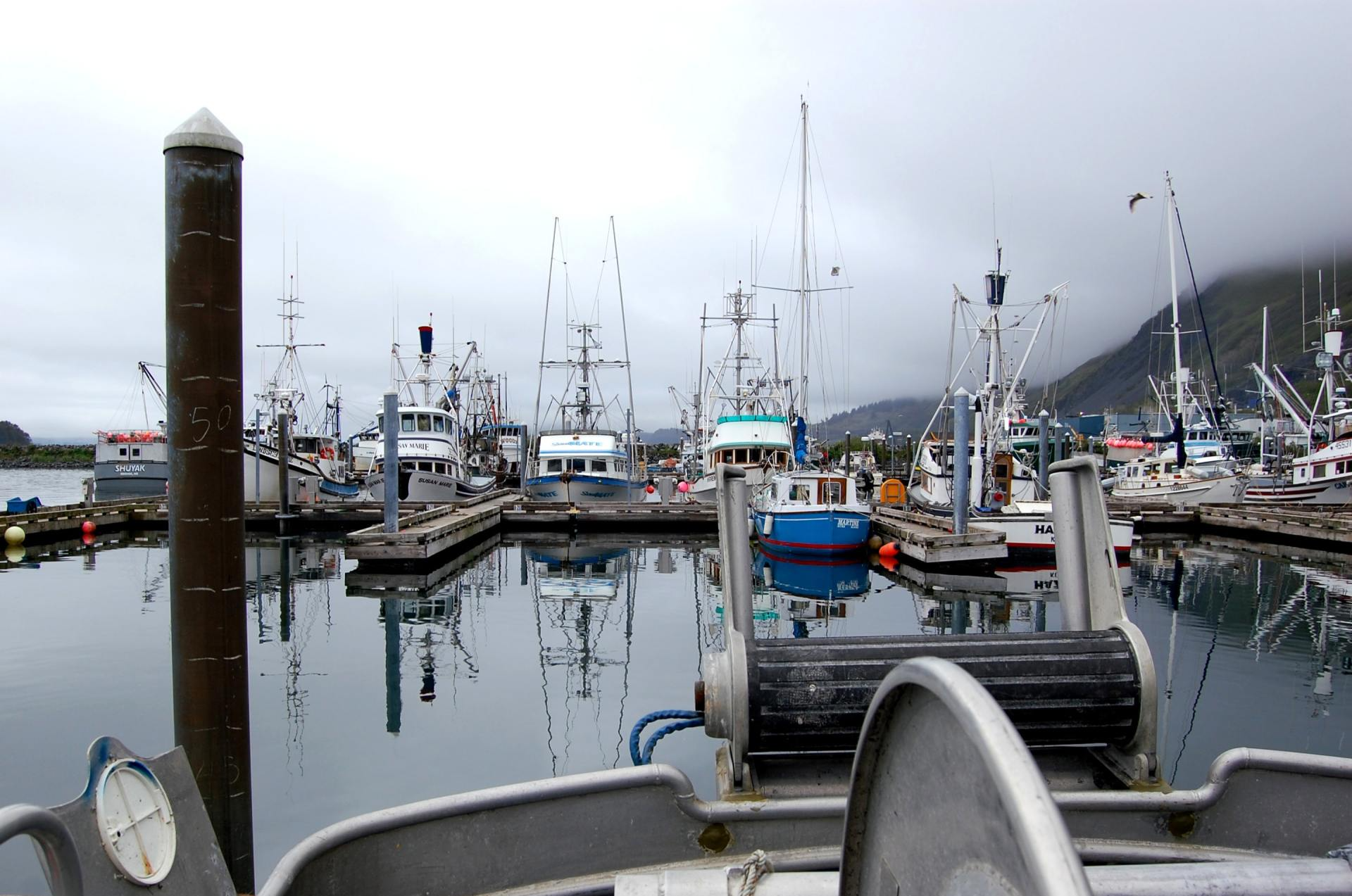 Alaska Harbor near Bell in the Woods in Seward AK