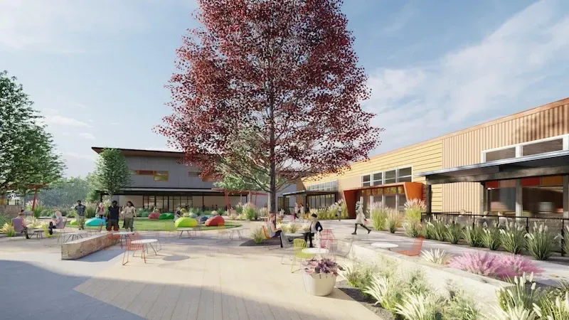 A spacious courtyard with a tall red-leafed tree at the center.