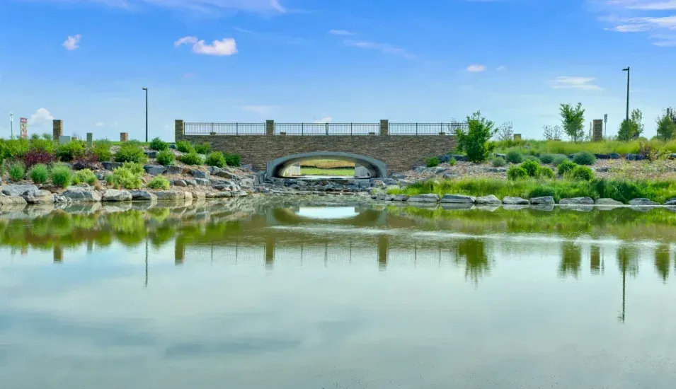 Tributary T - Terracina Design