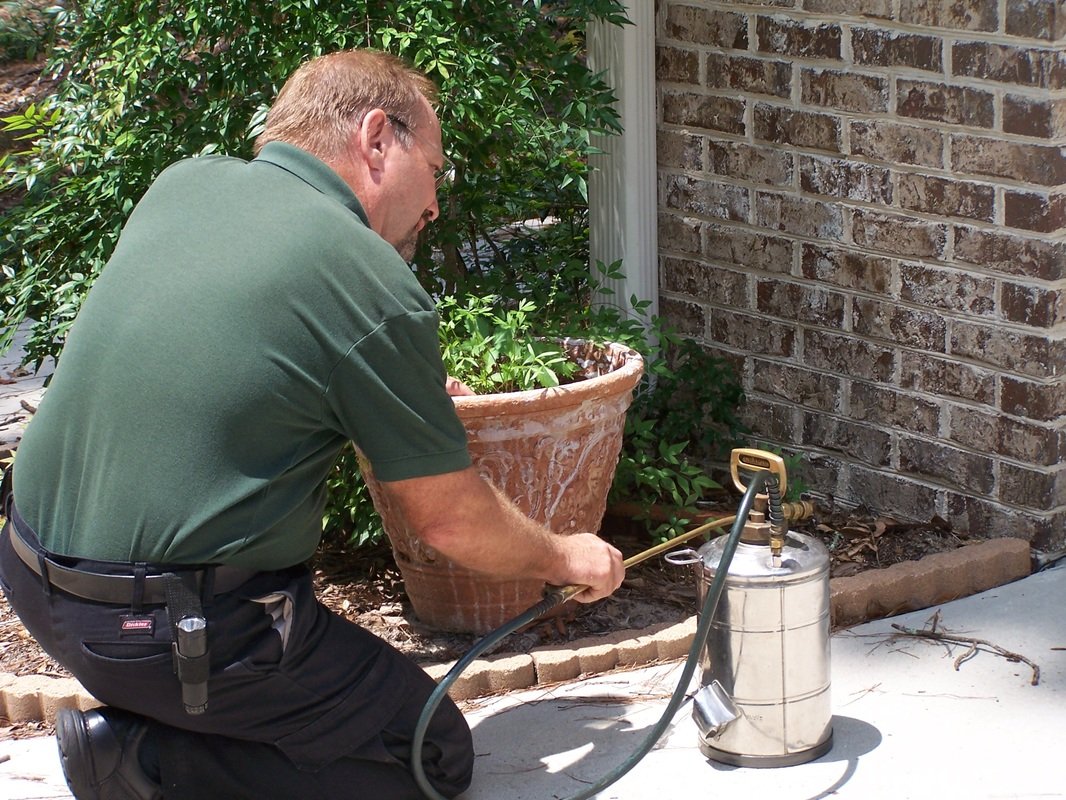 Pest Control I Tallahassee, FL l Rock Solid Termite and Pest Control