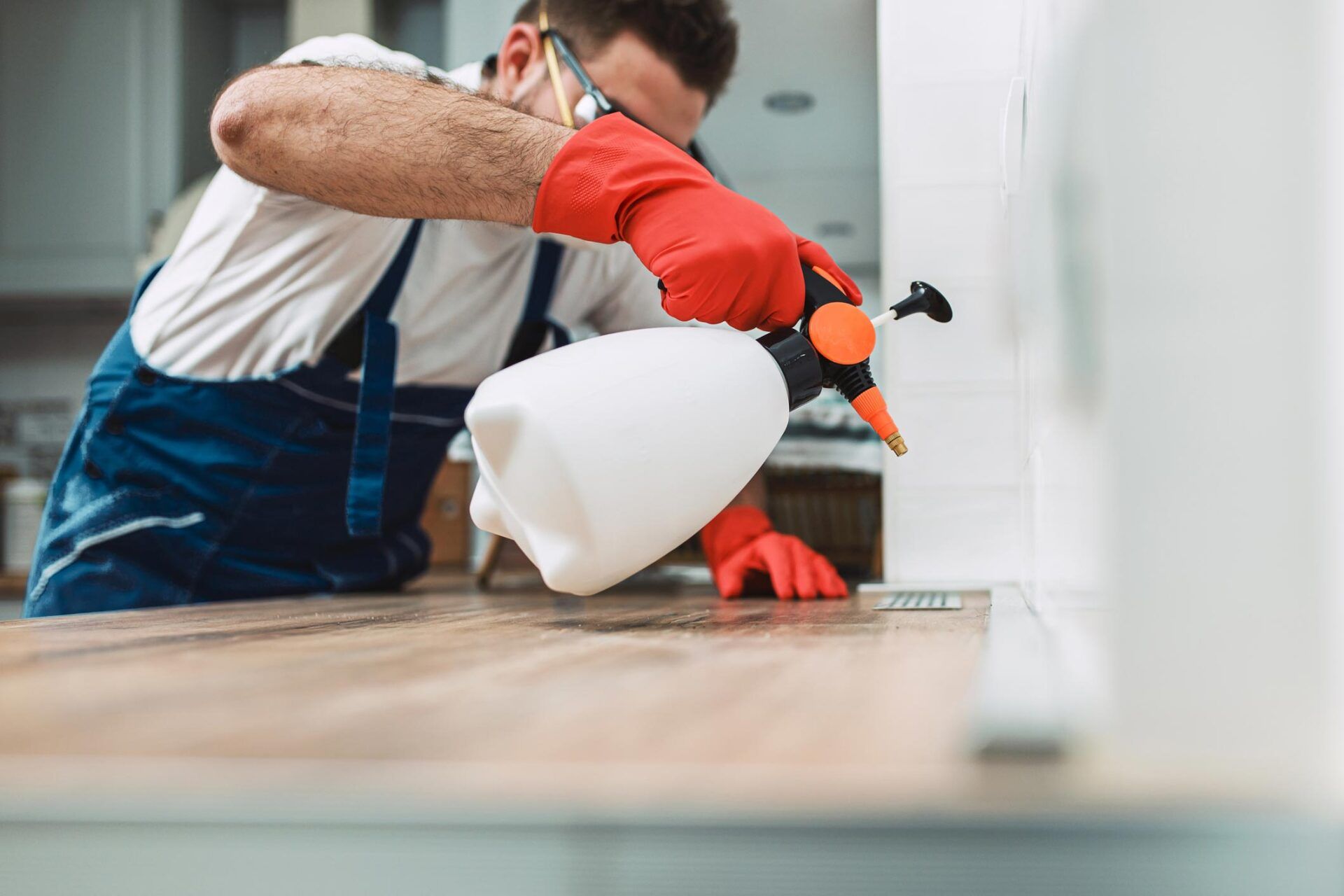 Residential Pest Control — Tallahassee, FL — Rock Solid Termite and Pest Control