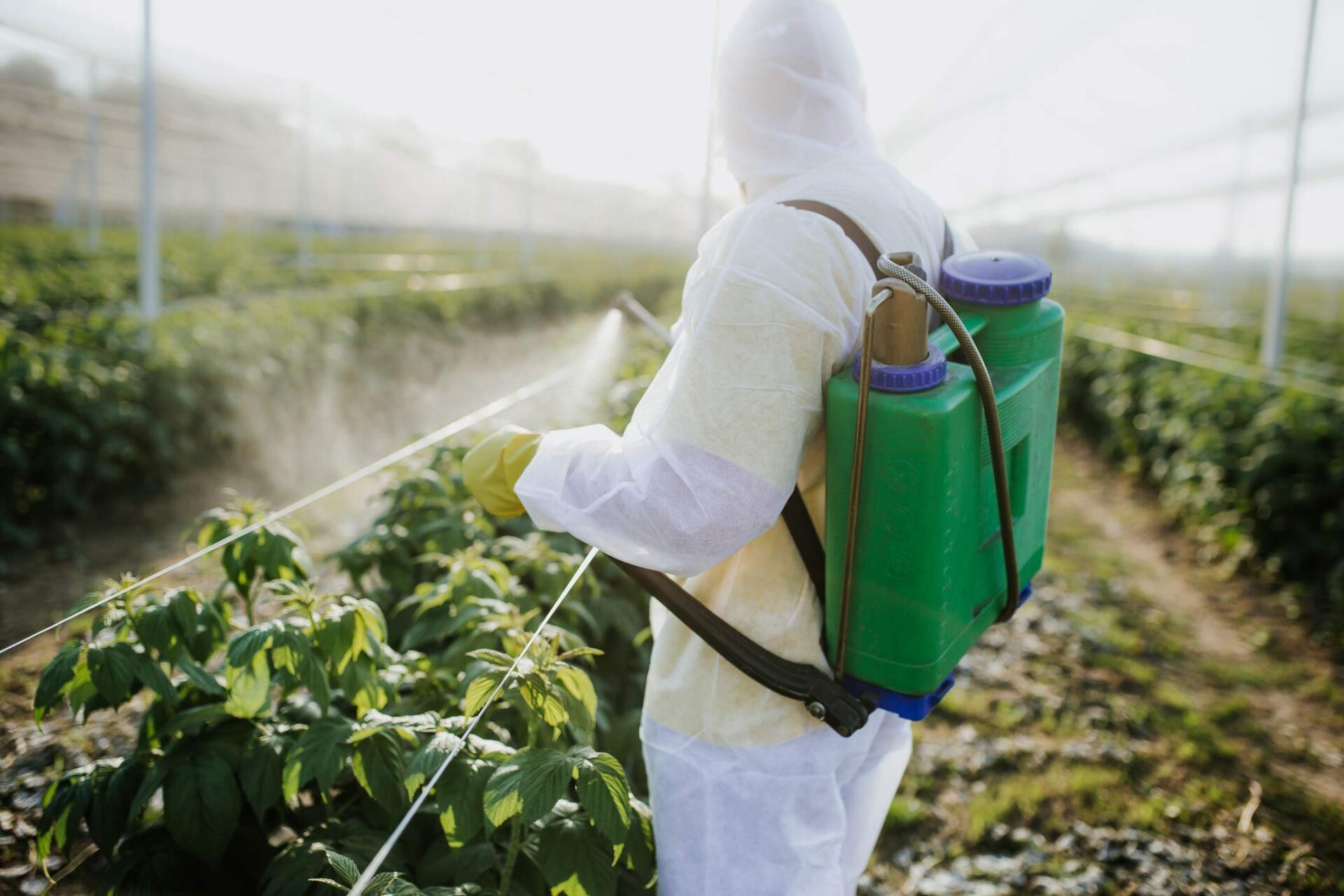 Commercial Pest Control — Tallahassee, FL — Rock Solid Termite and Pest Control