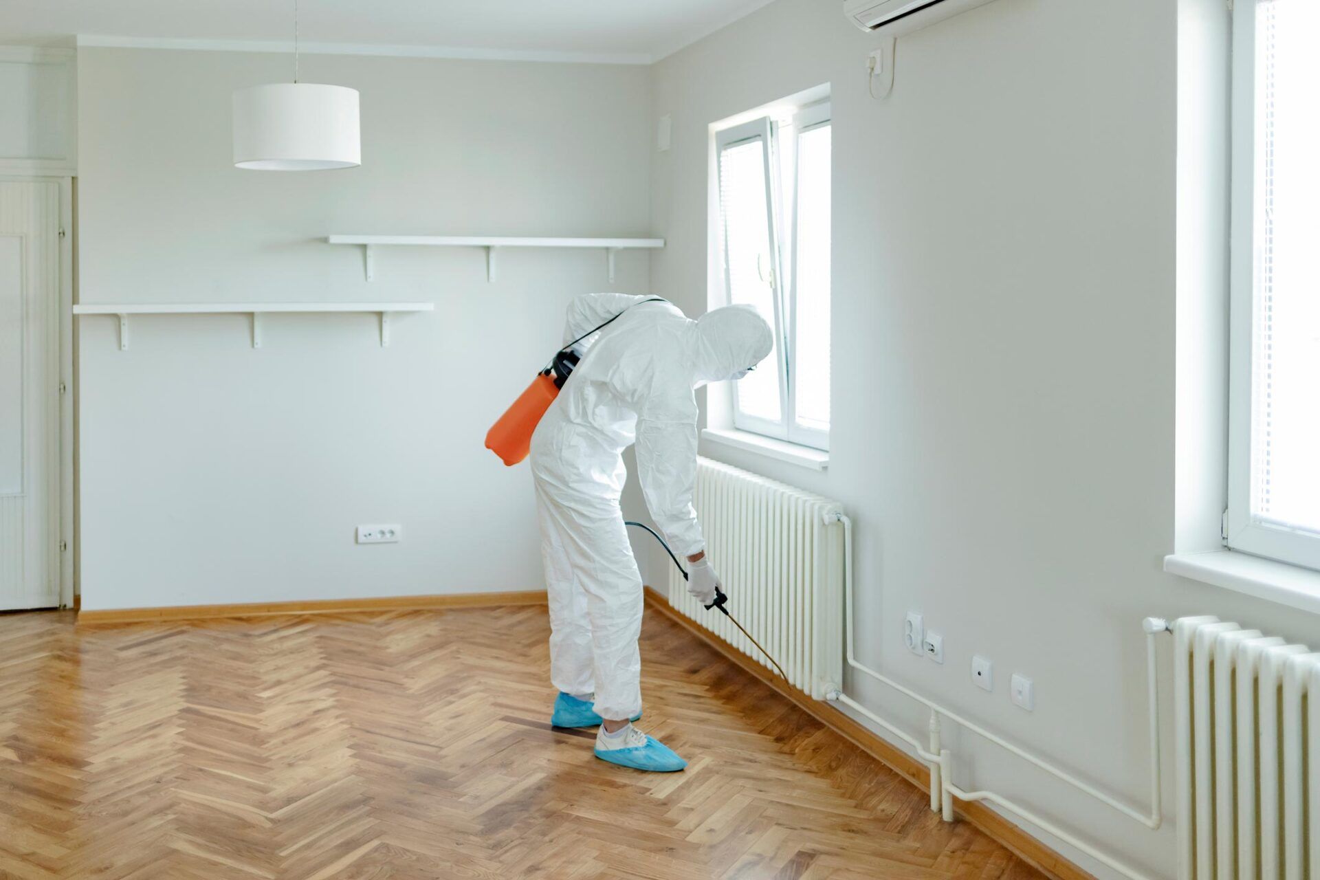 Pest Control — Tallahassee, FL — Rock Solid Termite and Pest Control