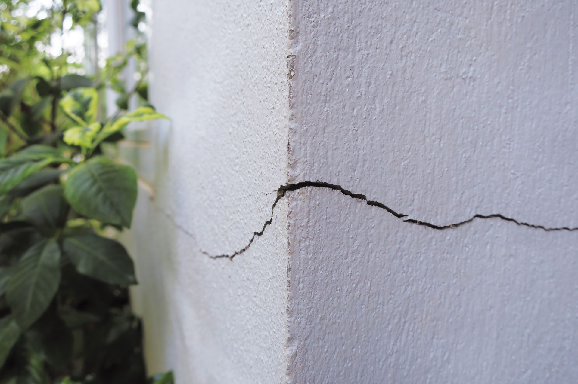 Crack on a white corner wall, with green leaves in the background.