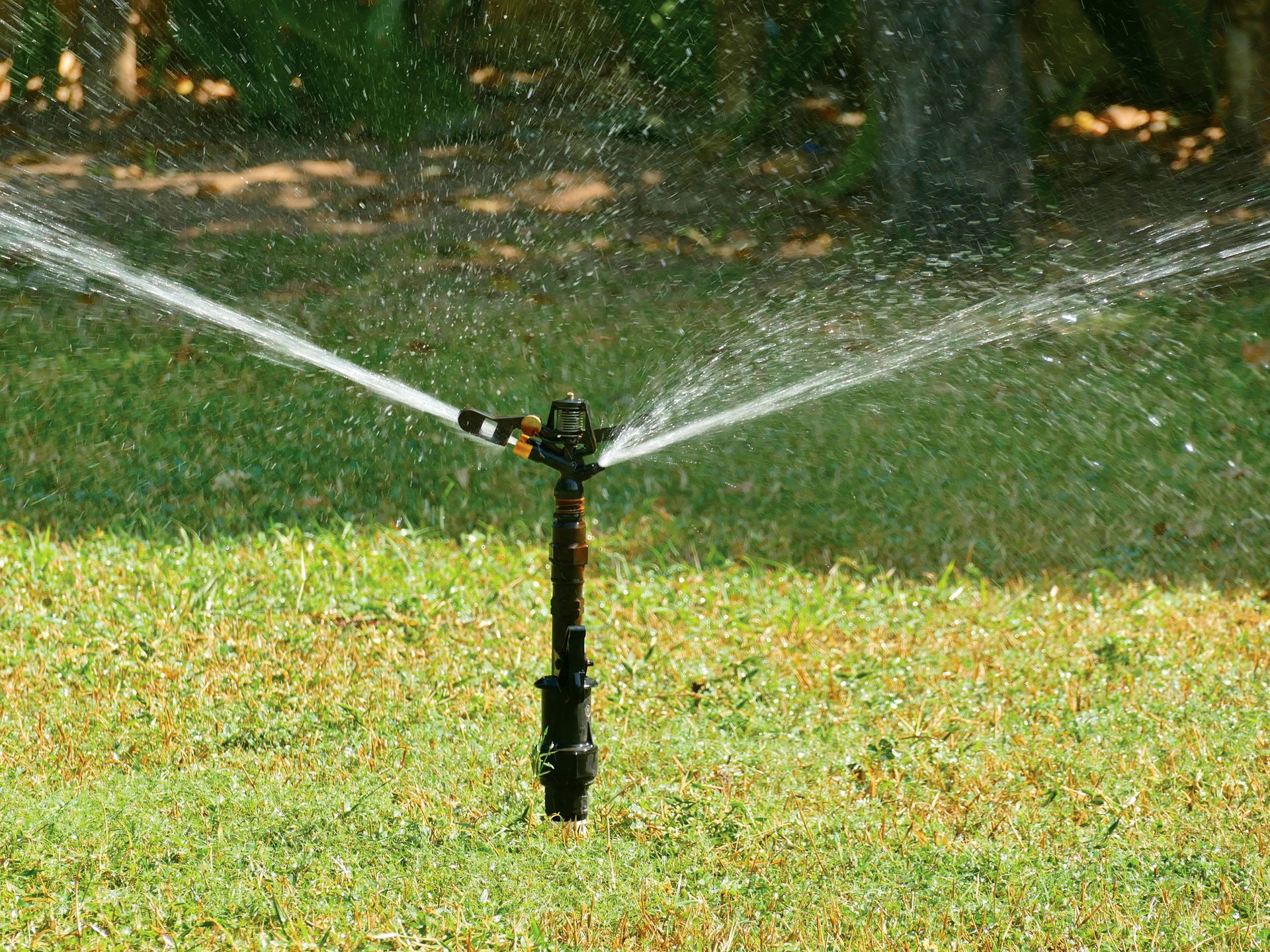 Modern House Led Light on Lawn – Cainhoy/Wando, SC – Irrigation Pros