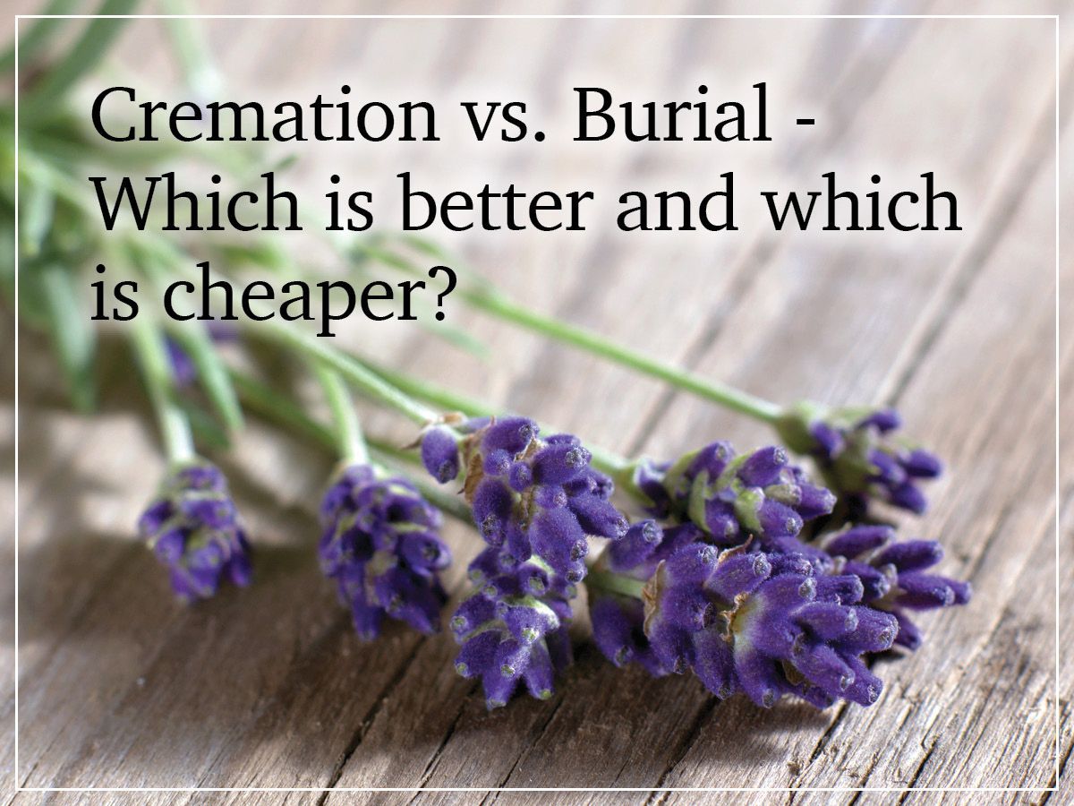 Text reading “Cremation vs. Burial - Which is better and which is cheaper?” over lavender flowers on wood.