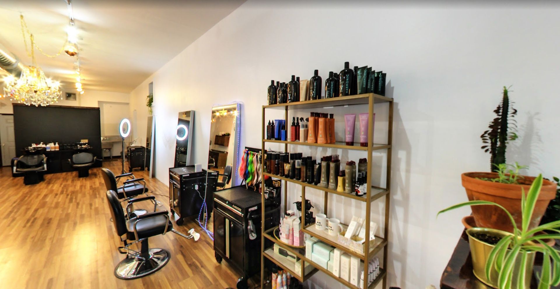 Hair salon interior with styling stations, product shelves, mirrors, and plants.