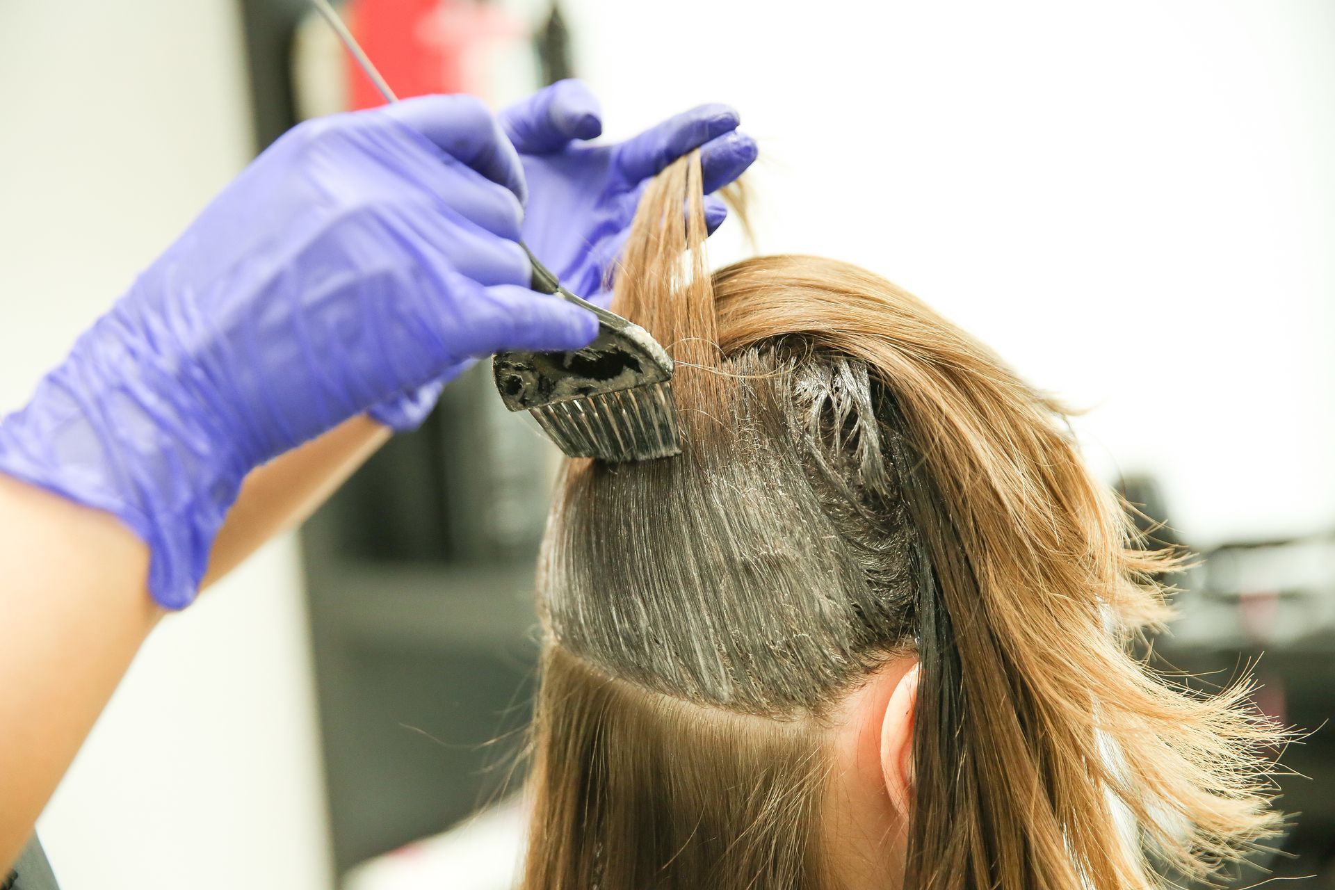 Hands in purple gloves applying hair dye with a brush to sections of brown hair.