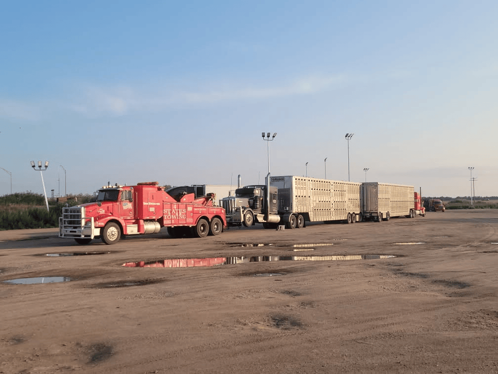 A red tow truck is parked next to a long livestock trailer on a dirt lot under a clear blue sky.