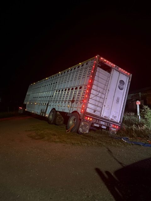 Large white livestock truck tilted off a muddy road at night, rear lights glowing red