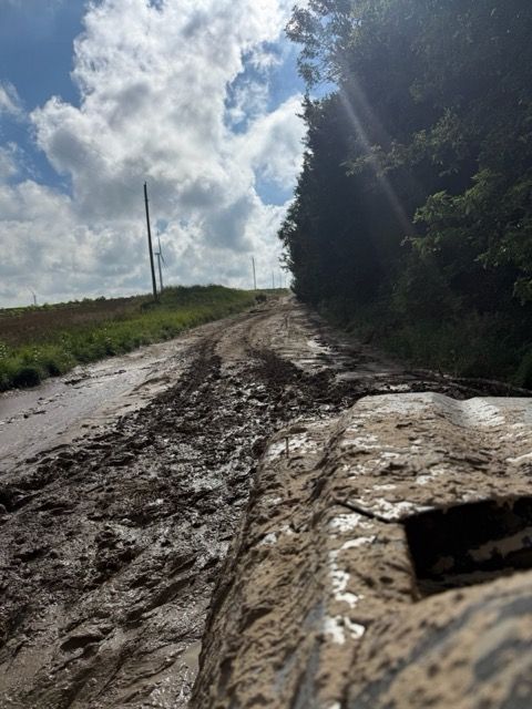 Muddy rural dirt road under cloudy sky, with a roadside puddle and trees along the right side.