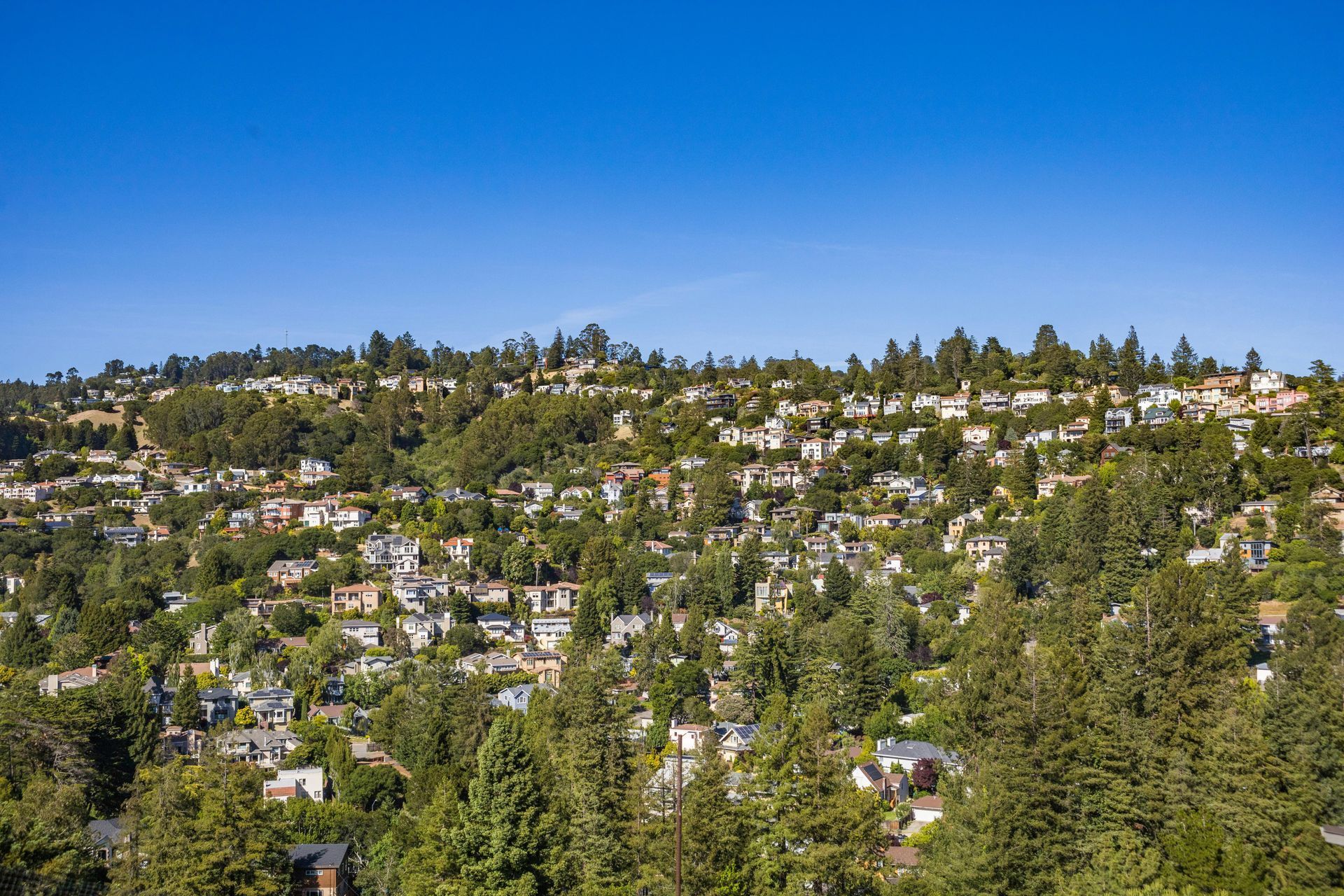 Houses nestled on a lush, tree-covered hillside under a clear blue sky.