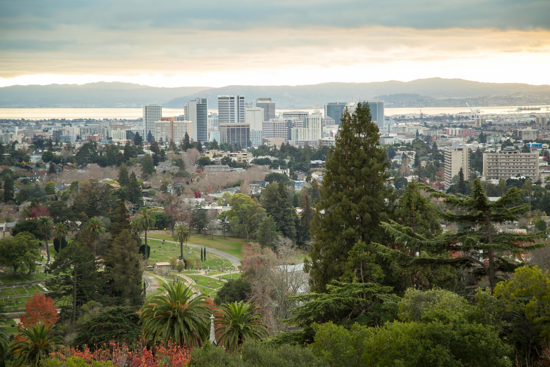 Cityscape view with buildings, trees, and cloudy sky over a body of water.