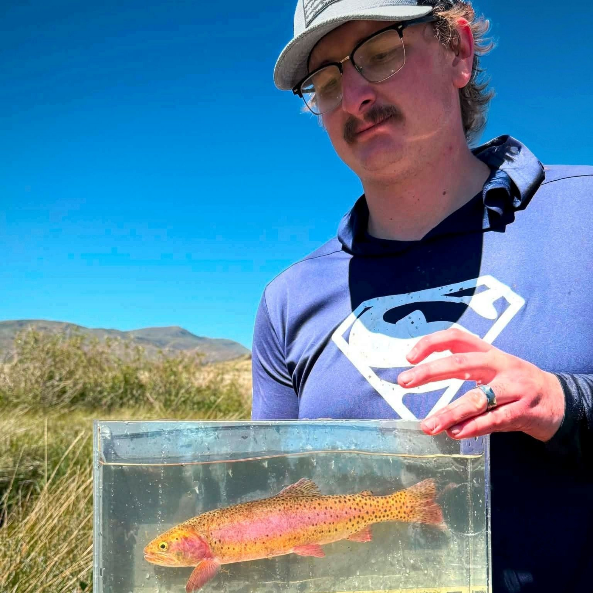 Person holding a clear container with a colorful fish outdoors under a bright blue sky.