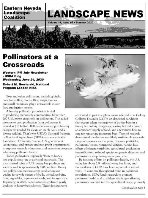 Landscape News newsletter article titled “Pollinators at a Crossroads” with a hummingbird illustration