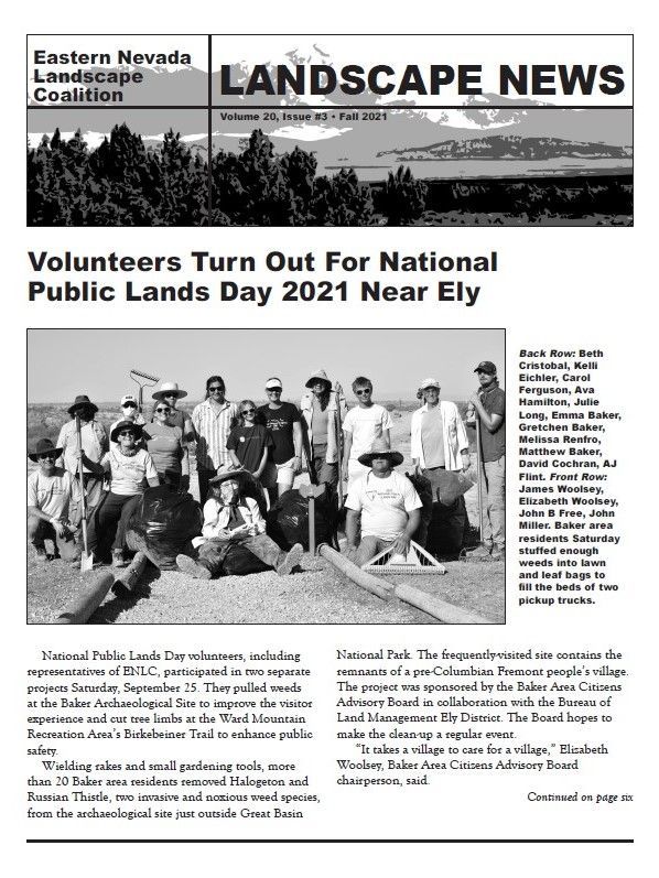 Newsletter cover about volunteers at National Public Lands Day 2021 near Ely, with a group photo.