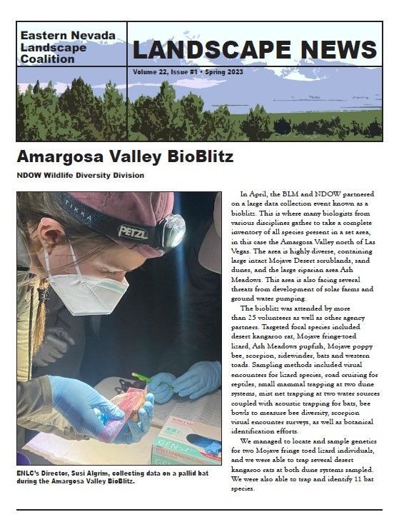 Landscape News newsletter cover featuring Amargosa Valley BioBlitz and a scientist at work outdoors