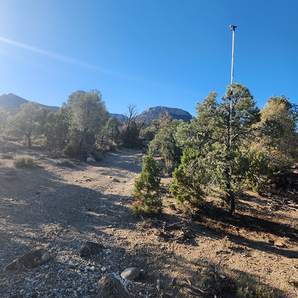 Sunlit rocky hillside with scattered trees under a clear blue sky and a tall pole in the distance