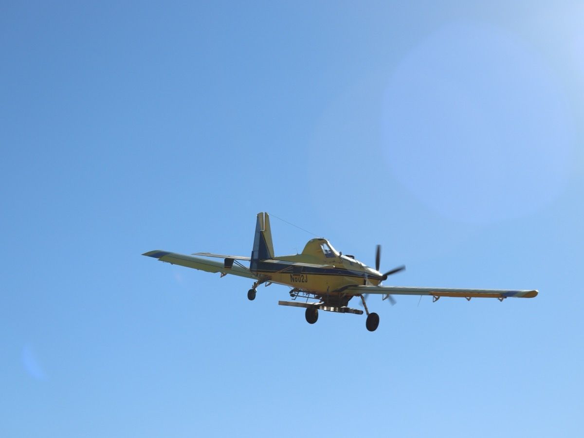 Small yellow aircraft flying against a clear blue sky, seen from below.