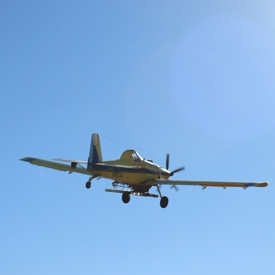 Small yellow aircraft flying against a clear blue sky, seen from below.
