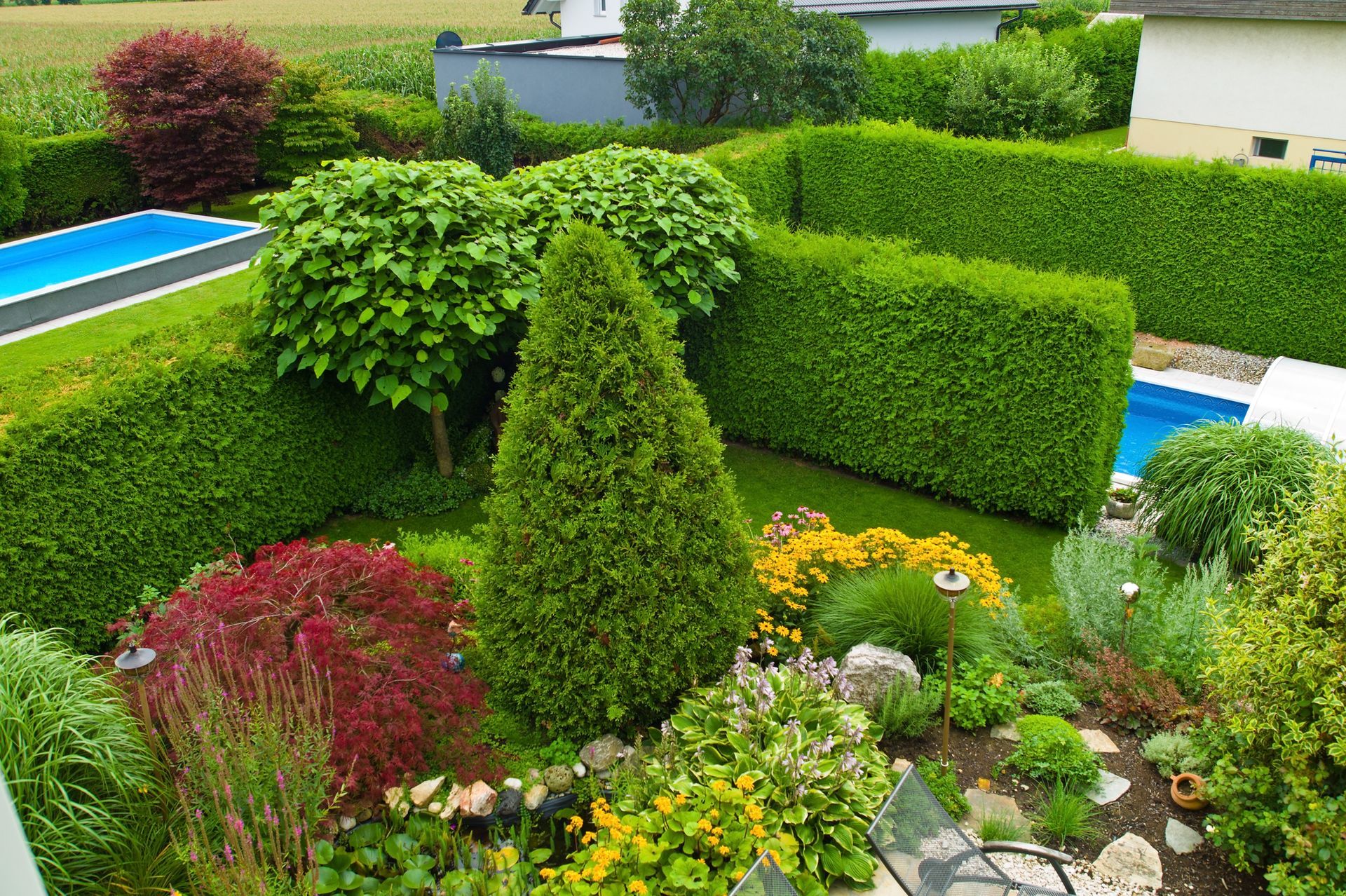Privacy Hedges in Gainesville, FL Privacy Hedges in Gainesville, FL
