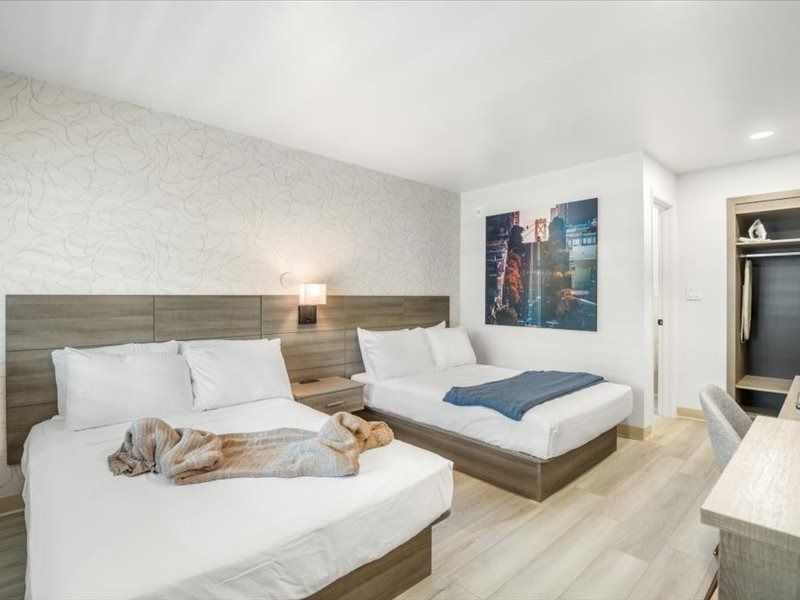 Bright hotel room with two beds, a dog lounging on one bed, and city artwork on the wall