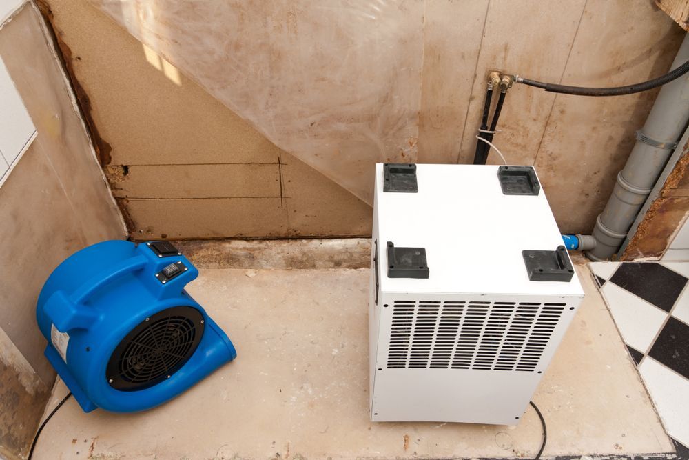Blue air blower beside white portable dehumidifier on a floor next to a wall and pipes
