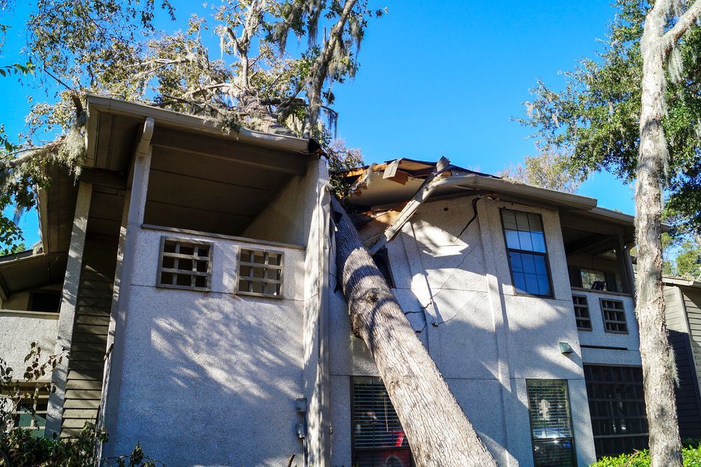 Damaged apartment building with a tree fallen against the roof and facade under a blue sky