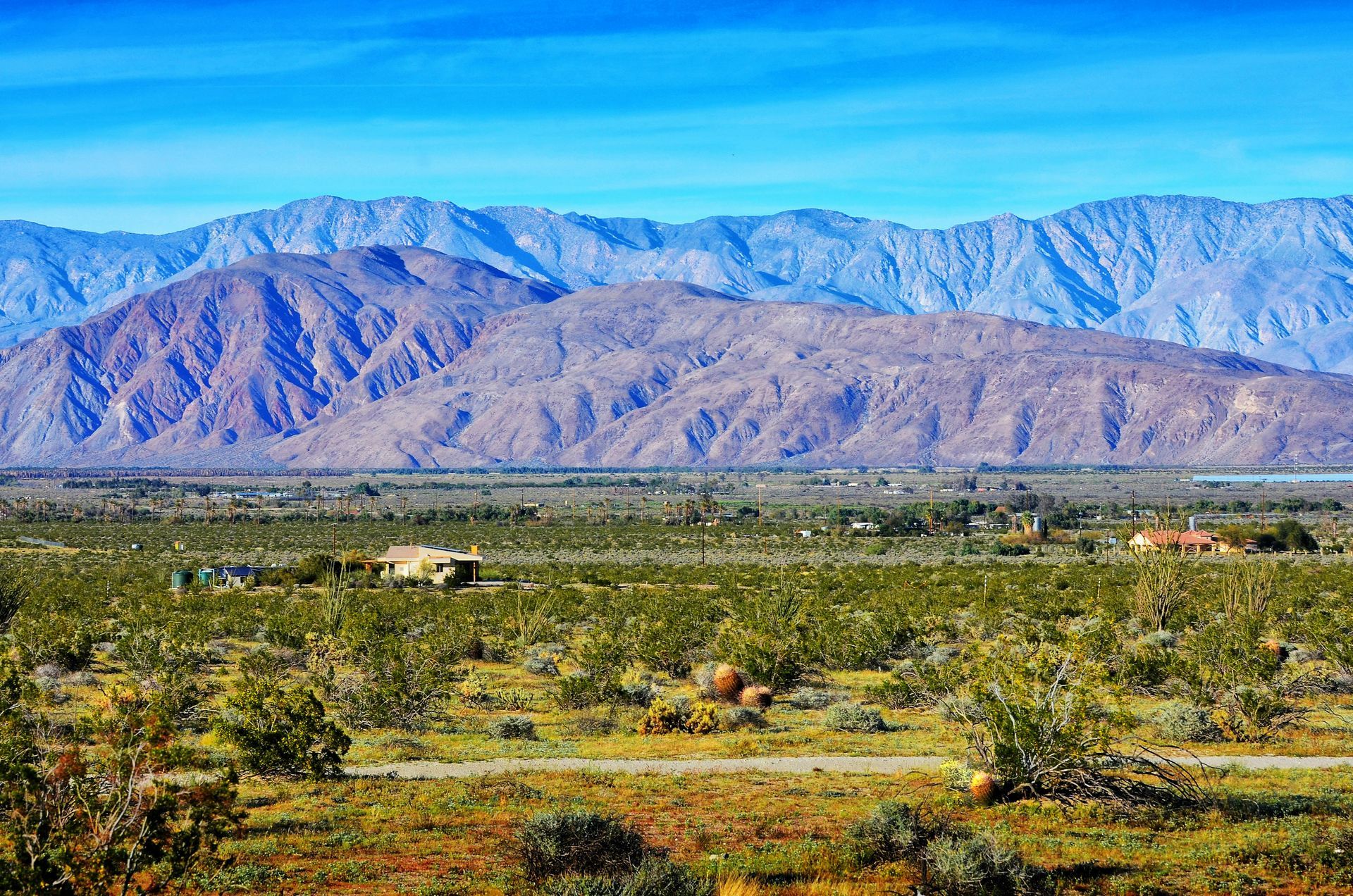 Desert valley with green shrubs and a distant purple mountain range under a clear blue sky