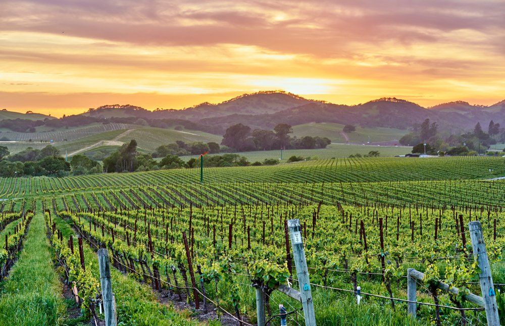 Benefits Broker in Napa, CA