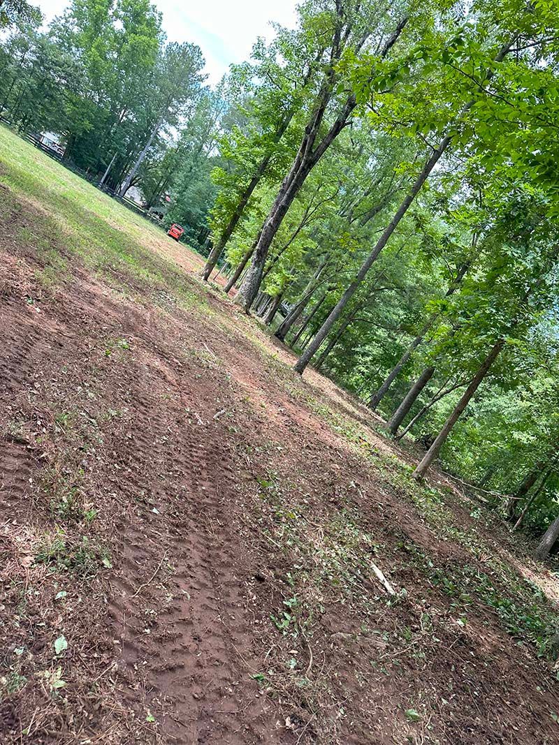 Forestry Mulching