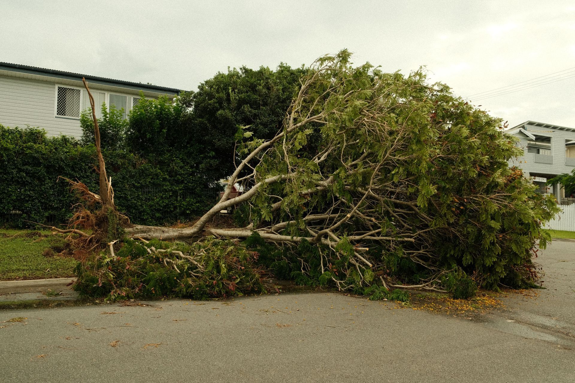 Emergency Storm Cleanup