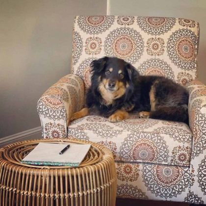Black and tan dog lying on a patterned armchair beside a wicker table with a notebook and pen