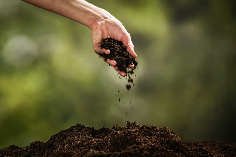 green burial service | Kilpatrick's Rose-Neath Funeral Homes