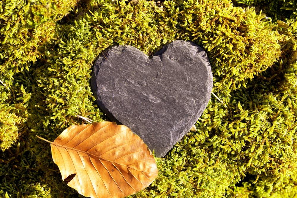 green burial | Kilpatrick's Rose-Neath Funeral Homes