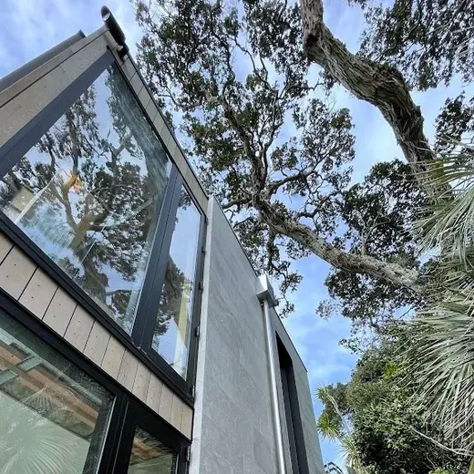 Modern house exterior with large glass windows and tall trees overhead