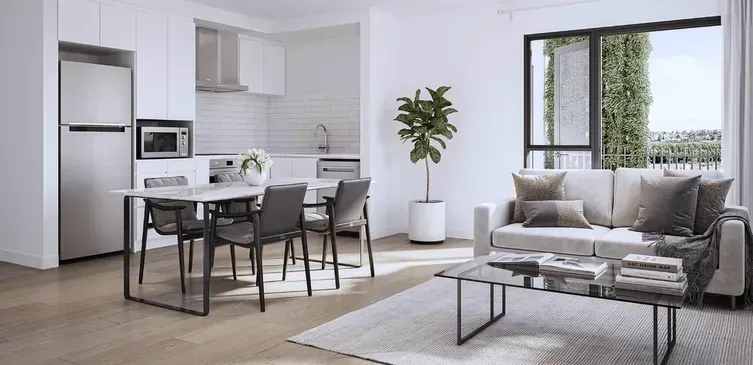 Bright modern living room and kitchen with gray sofa, dining table, large window, and indoor plant