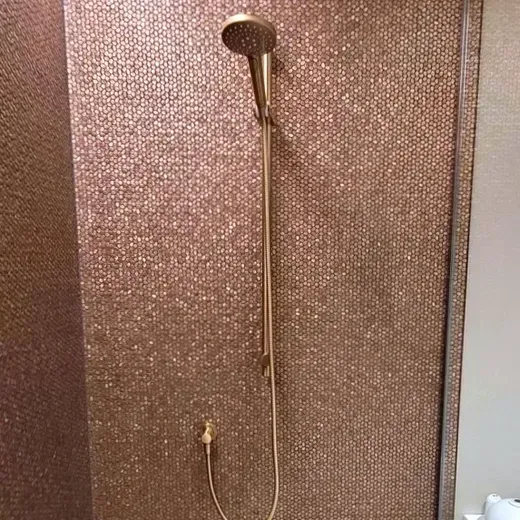 Wall-mounted showerhead and hose against a textured brown shower wall.