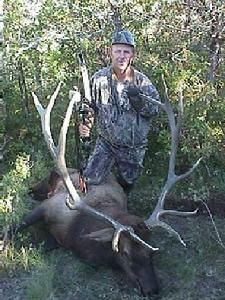 Man in camo with bow stands over elk with large antlers in a wooded area.