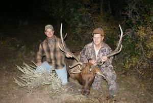 Two hunters pose with a large elk they killed in a forest.