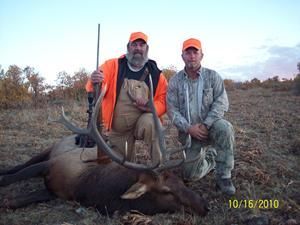 Two hunters kneel beside a harvested elk on an open field. Both wear orange hats. The date is October 16, 2010.